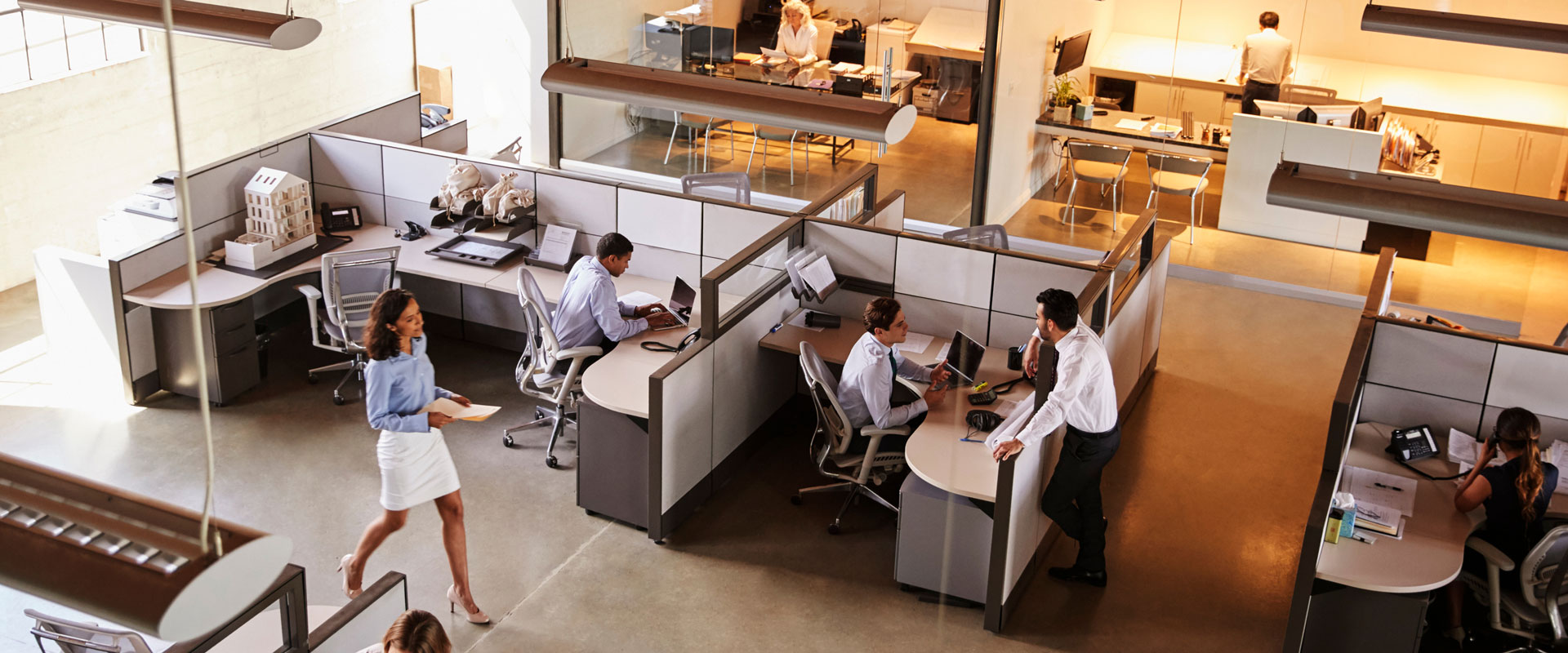 A diverse group of people working in an office