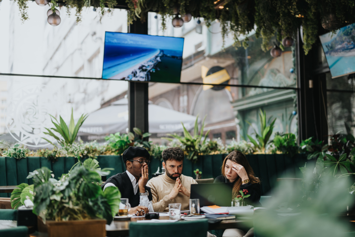Professional Digital Displays